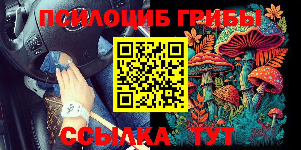 Псилоцибиновые грибы MAGIC MUSHROOMS  Вход с VPN  Псилоцибиновые грибы ЛСД  Павловский Посад 
