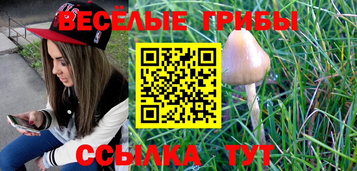 Псилоцибиновые грибы ЛСД Павловский Посад